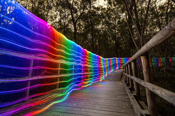 Ants On A Melon BITWHIP ACCESSORY - PARACOSMIC