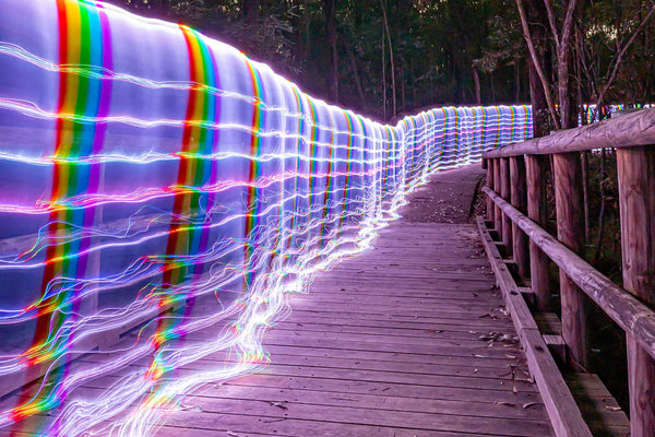 Ants On A Melon BITWHIP ACCESSORY - PARACOSMIC