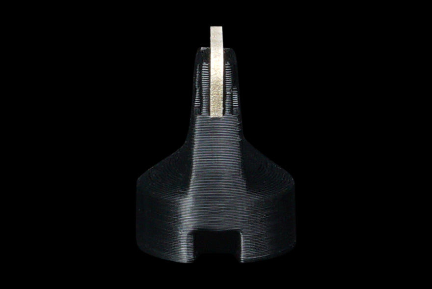 Ants On A Melon - Critter Key