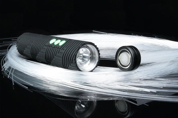 Ants On A Melon BITWHIP ACCESSORY - PARACOSMIC