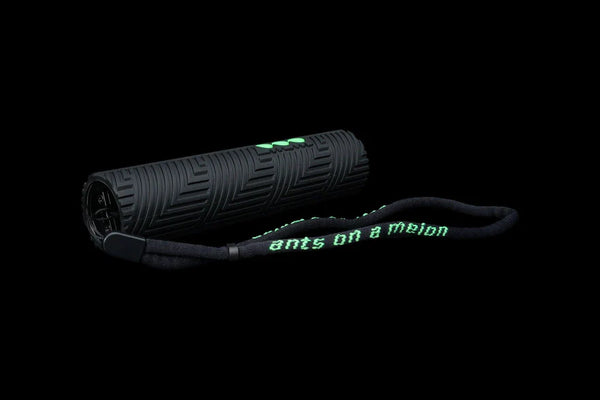 Ants On A Melon RGB CRITTER 2.0 FLASHLIGHT - PARACOSMIC