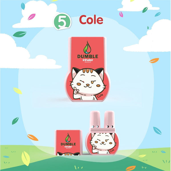 Thai Herb Double Inhaler - PARACOSMIC